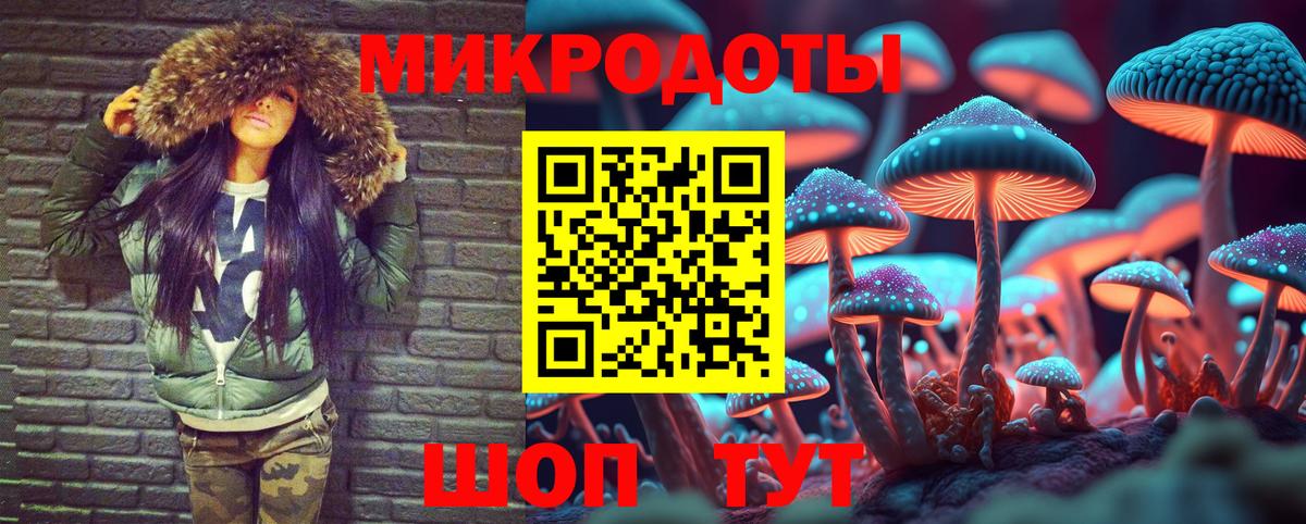 Галлюциногенные грибы Psilocybe Алексин