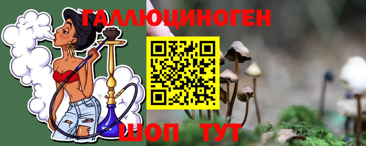 Галлюциногенные грибы Magic Shrooms  Псилоцибиновые грибы мухоморы  Алексин  Вход с VPN 